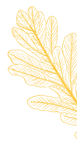 Feuille d'or
